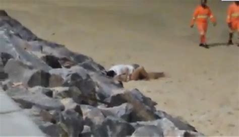 sexe na praia|Sexo Na Praia Porn Videos .